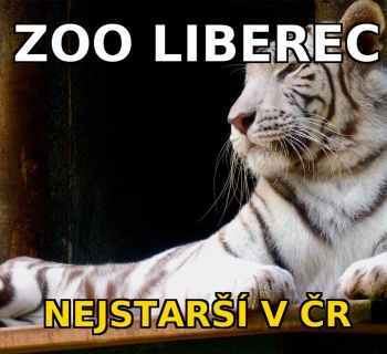 Víkendový TIP na výlet do ZOO Liberec: Exotika a divočina ve městě
