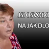 JSI OSVOBOZENÁ?  A NA JAK DLOUHO?